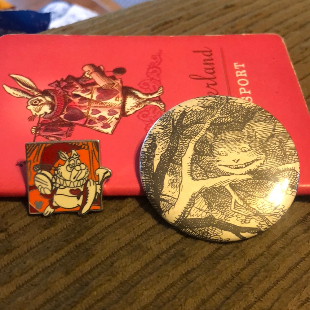 Alice In Wonderland Pins
